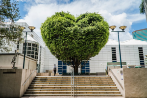The Hotel You Are Looking For A The Heart Of Tsim Sha Tsui