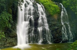 best and high class evolve back coorg