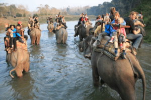 Chitwan tour packages,